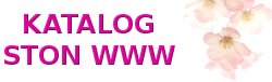 katalog noworoczne.pl, promotion noworoczne.pl