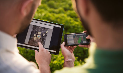 Rolnictwo regeneracyjne odpowiedzią PepsiCo na aktualne zagrożenia dla światowego systemu żywnościowego