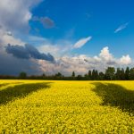 Bezpłatna pomoc medyczna dla osób z Ukrainy w ramach Grupy ENEL-MED, Медична допомога біженцям з України